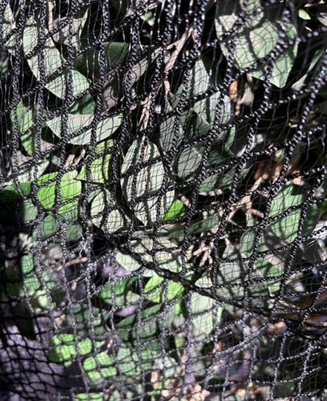 Agricultural – Textile Mesh Testing